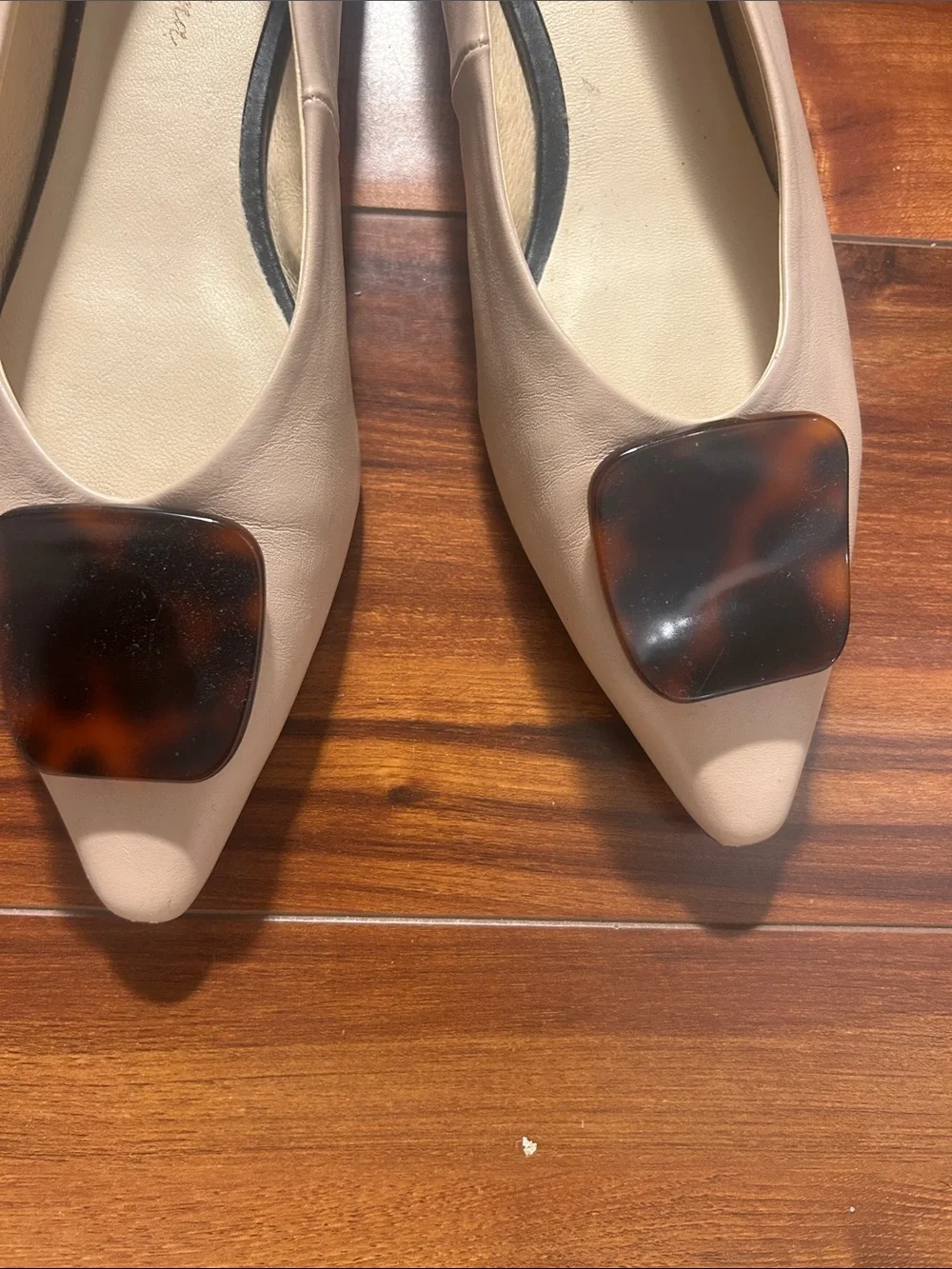 Nude Pointed Toe Flats with Tortoiseshell Accent